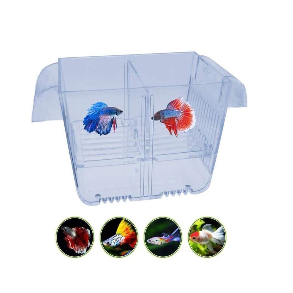 1Pc Fish Isolation Box Acrylic Hatchery Fish Breeding Box Aquarium Breeder Box