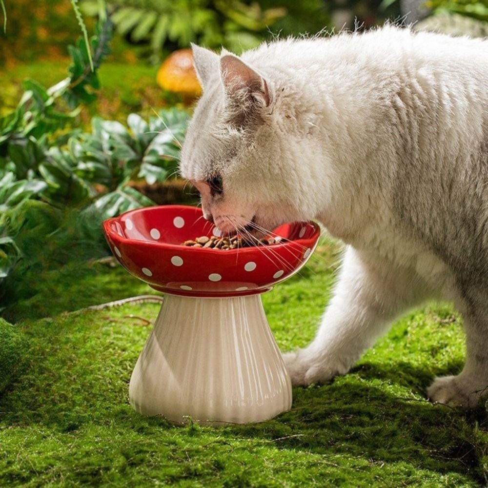 Mushroom Cat Bowl Resin Elevated Shelf, Beard Friendly Raised Cat Food Bowl