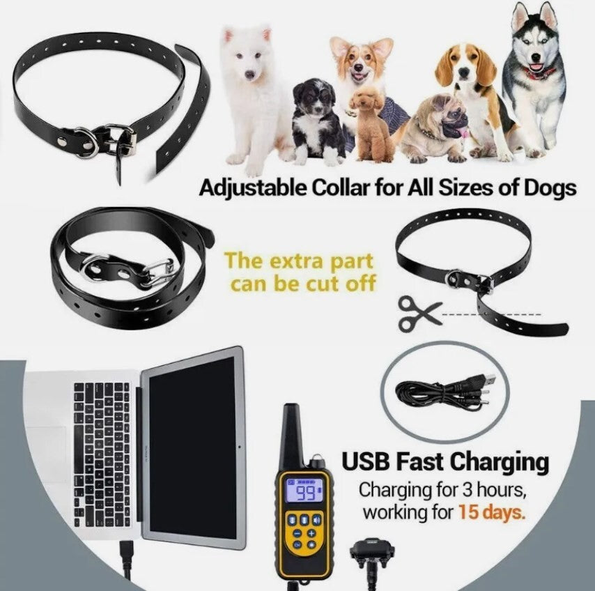 800m Remote-Controlled Electric Dog Training Collar with LCD Display