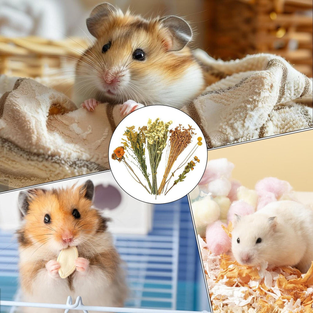 Natural Hamster Bedding Edible Flowers Herbs Sprays for Edible Grain UK