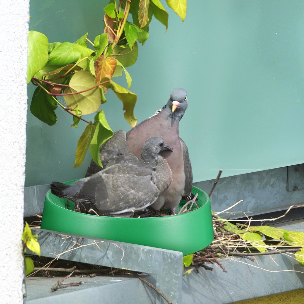 10 Pcs Breathable Nest Pigeon Bowls for Pigeons Bird Breeding Basin