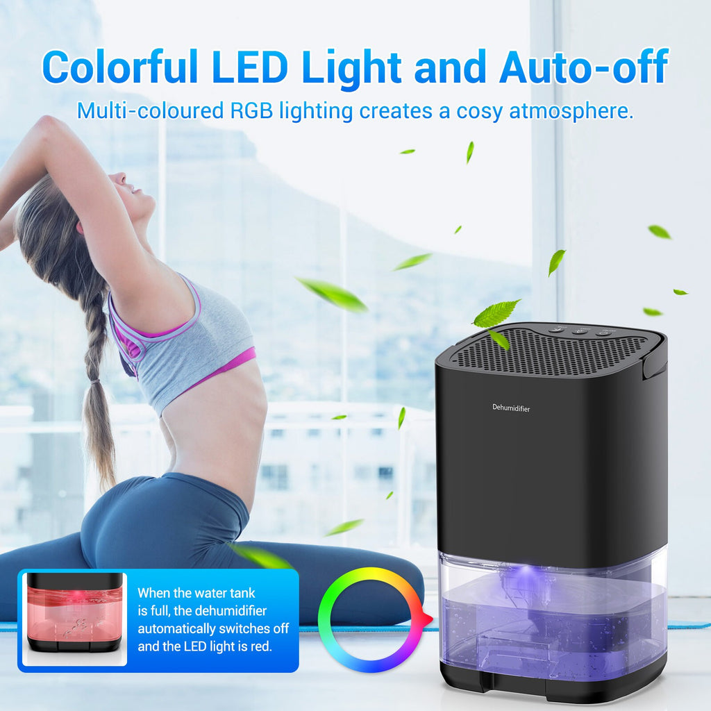Air Dehumidifier 1000ml Home Portable Air Dehumidifier for Damp Mould Moisture