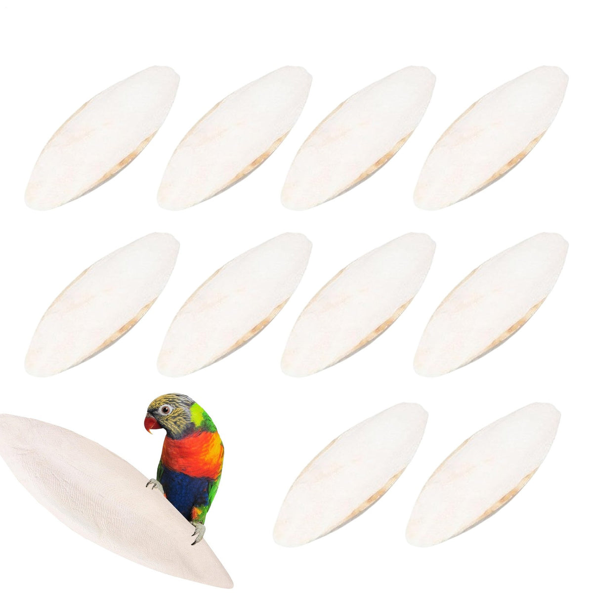 10X Long Cuttlebone Cuttlefish Bone Sepia Fish Bird Chew Food Calcium
