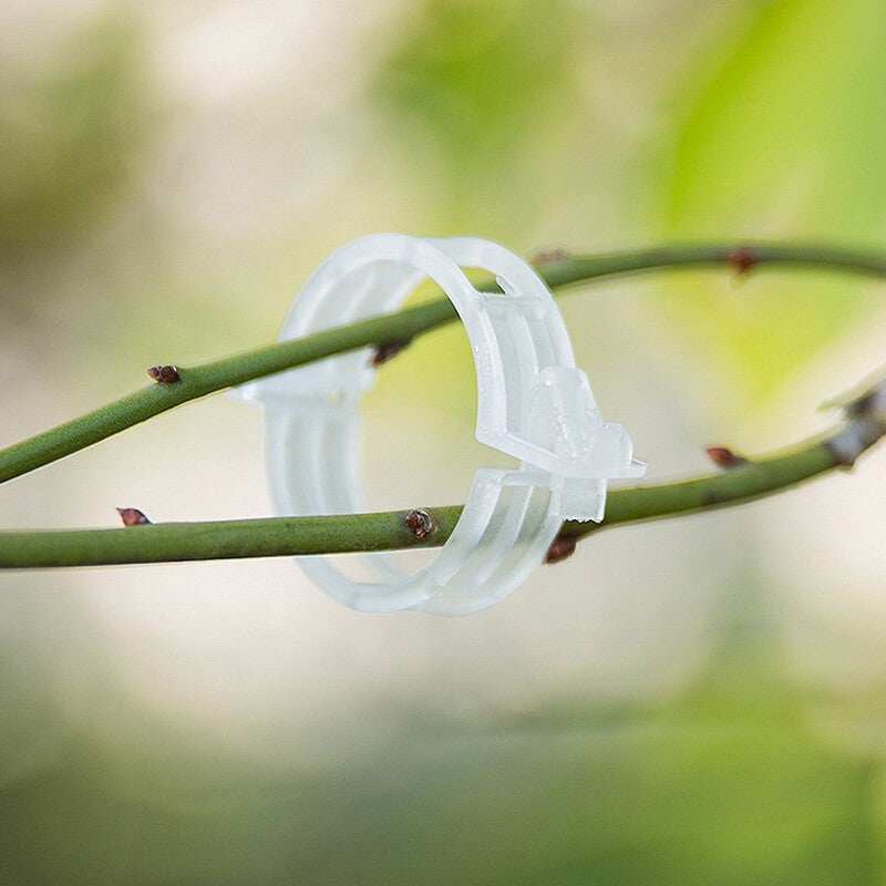 Plant Support Clips Ties Veggie Trellis Stake Greenhouse Tomato Garden Tools