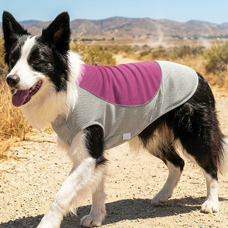 Dog Cooling Vest with Ice Pack Pocket Mesh Summer Pet Cooler Jacket for Pet Dogs