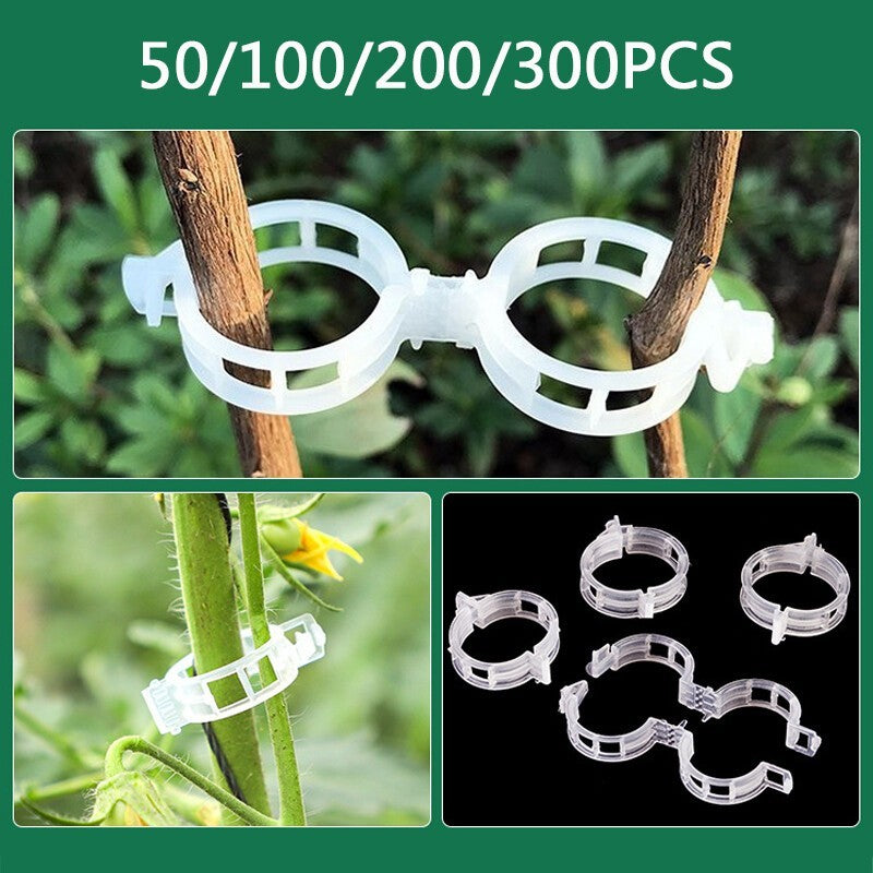 Garden Tools Plant Support Clips Ties Veggie Trellis Stake Greenhouse Tomato UK