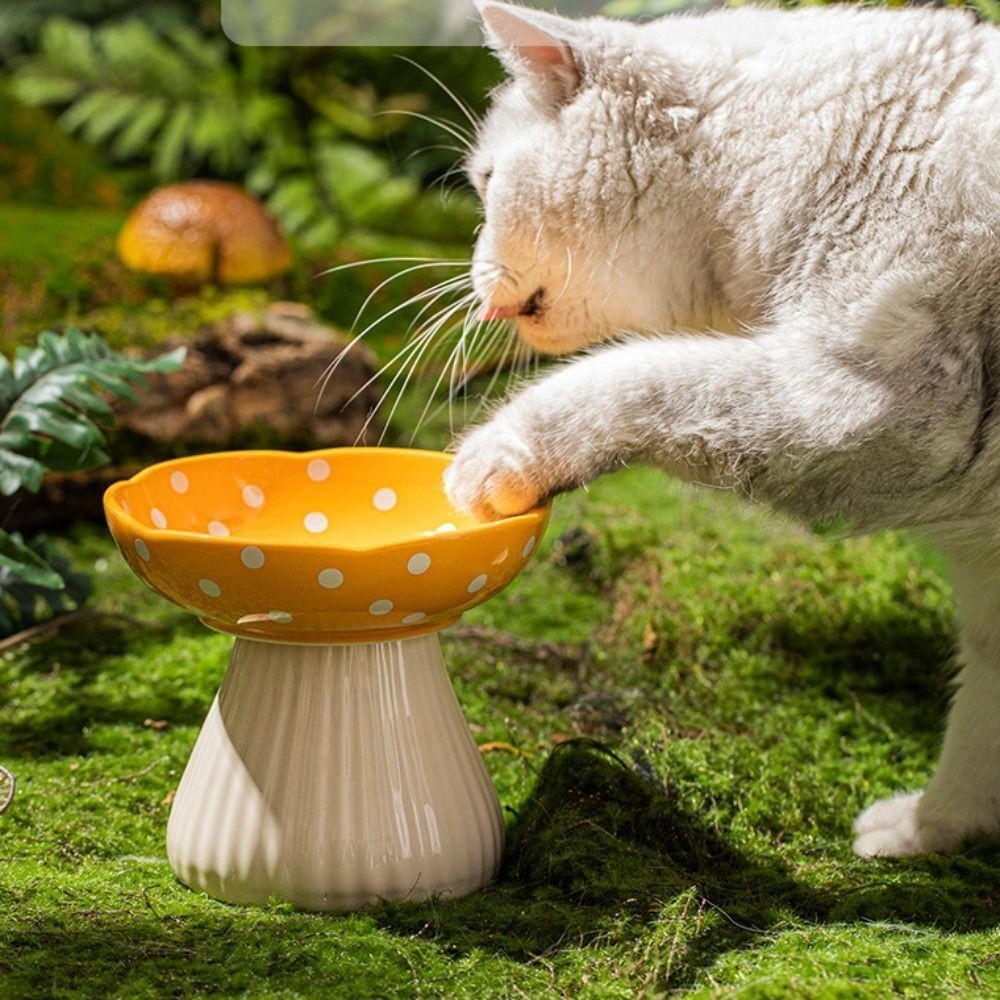 Cat Food Bowl Mushroom Cat Bowl Resin Elevated Shelf Beard Friendly Raised