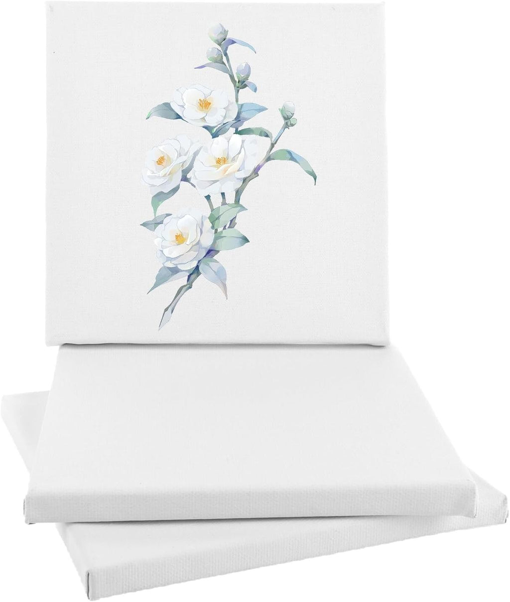 PACK OF 4 Blank Artist Canvas Art Board Plain Painting Stretched Framed 20x20CM