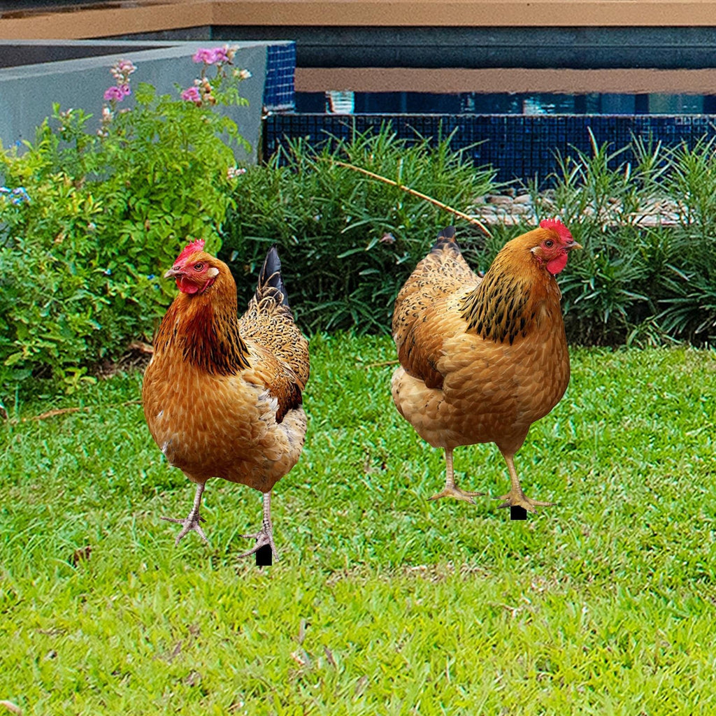 2x Hen Statue Garden Stakes Chicken Figurines Ground Insert Realistic Lifelike
