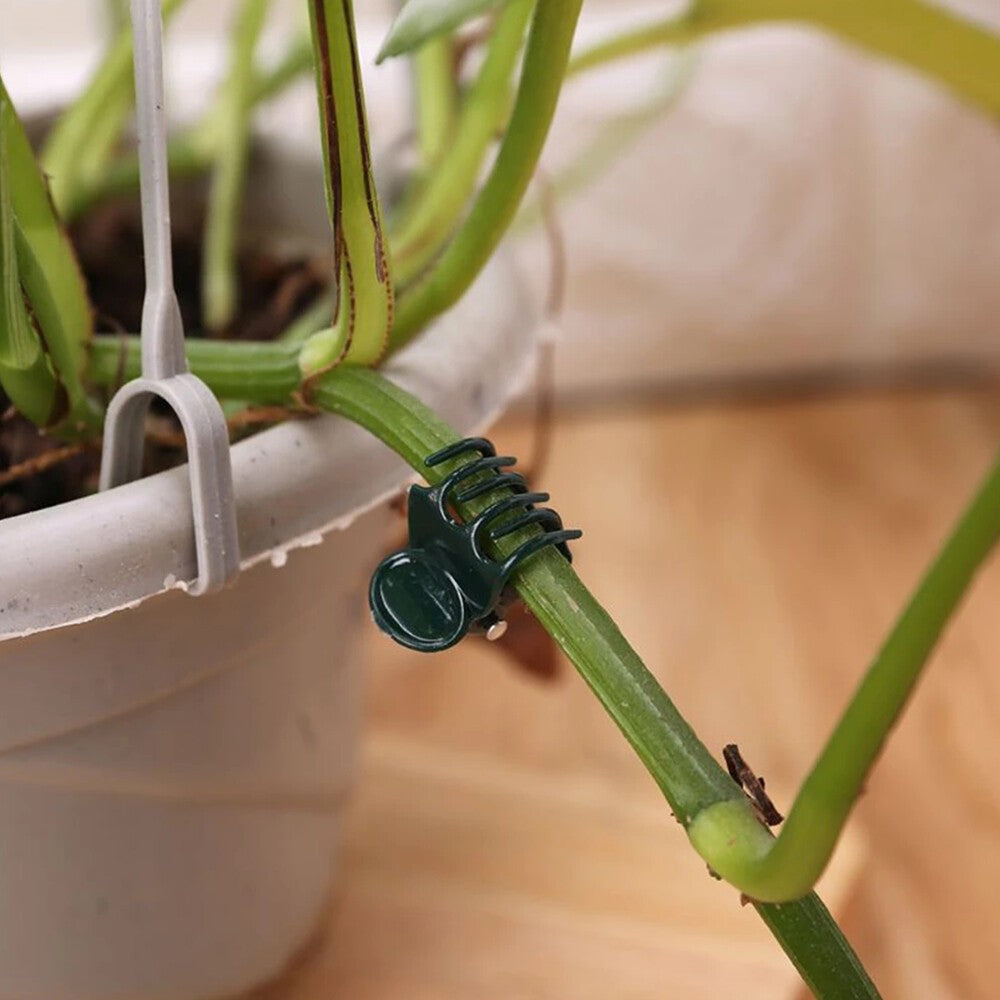 100Pcs Plant Fix Clips Orchid Stem Vine Support Flowers Tied Branch Clamping