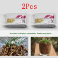 Dried Sphagnum Moss Potted PlantOrganic Nutrition Fertilizer Moisturizing 2X6L