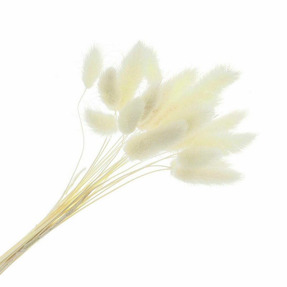 Dried Pampas Grass Decor ,Tall-Faux Bunny Tails Dried Flower Bouquet 50 Pcs