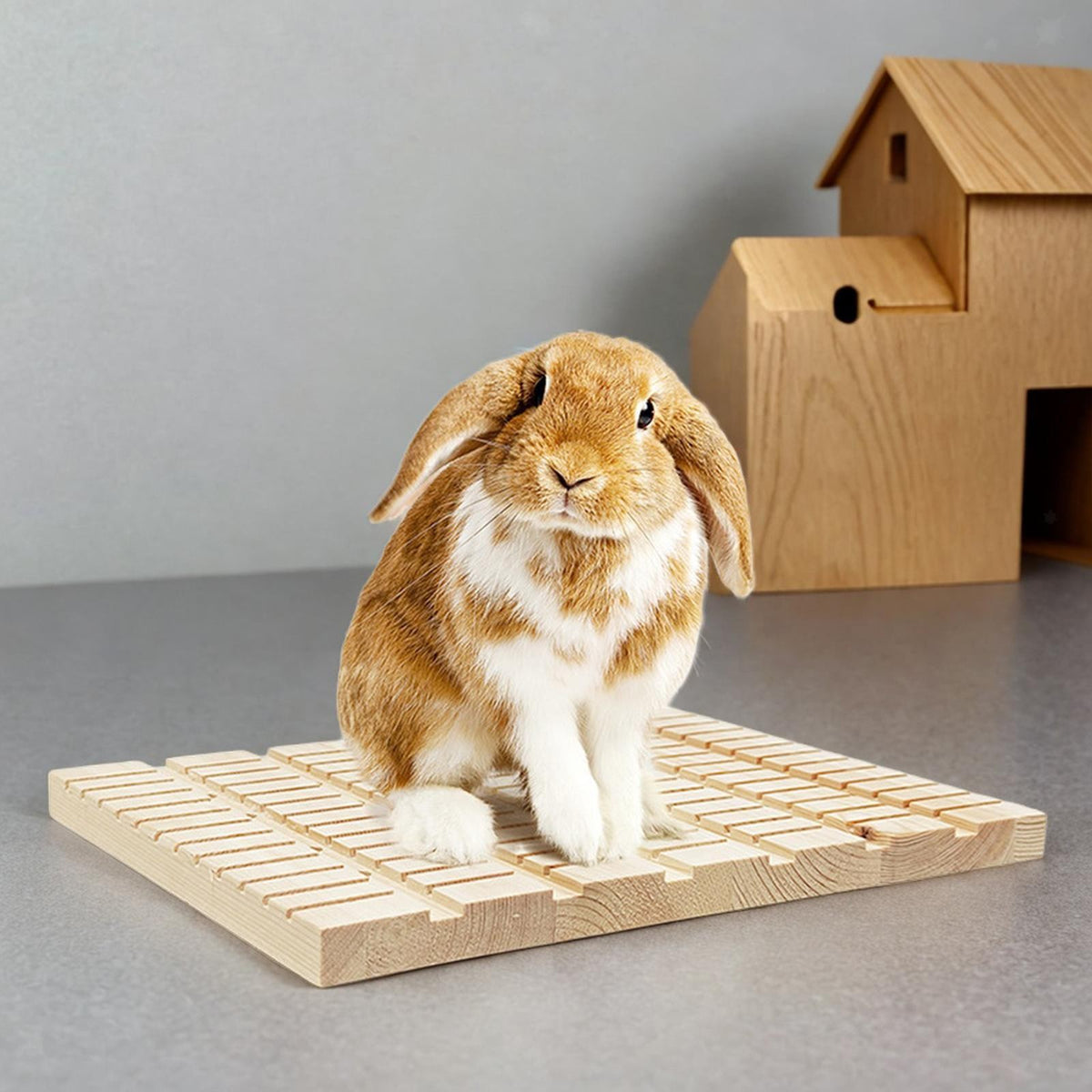 Rabbit Scratch Pad Claws Care Anti Skid Nail Tool Playing Scratch Cage Supplies