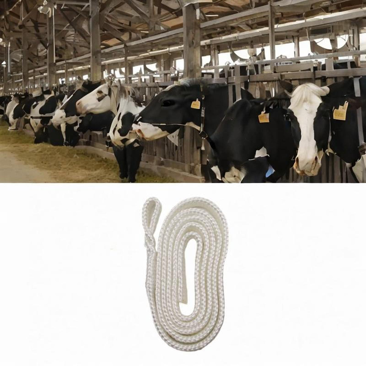 Cow Calving Rope, Calving Rope, Flexible Agricultural Supply, Cattle,
