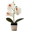 Artificial Phalaenopsis Orchid 5.5cm Wide 25cm Tall Plastic Potted Flower