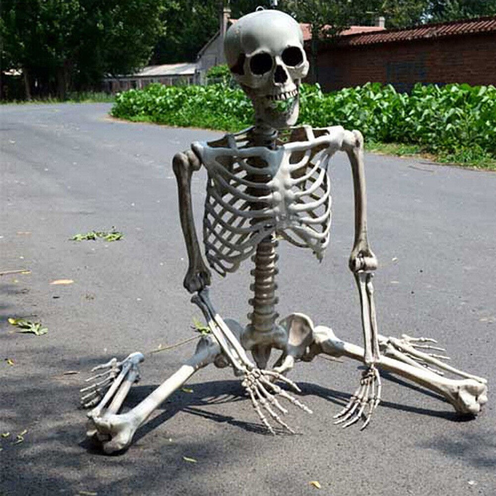 90cm Poseable Full Life Size Human Skeleton Prop Halloween Party Decoration