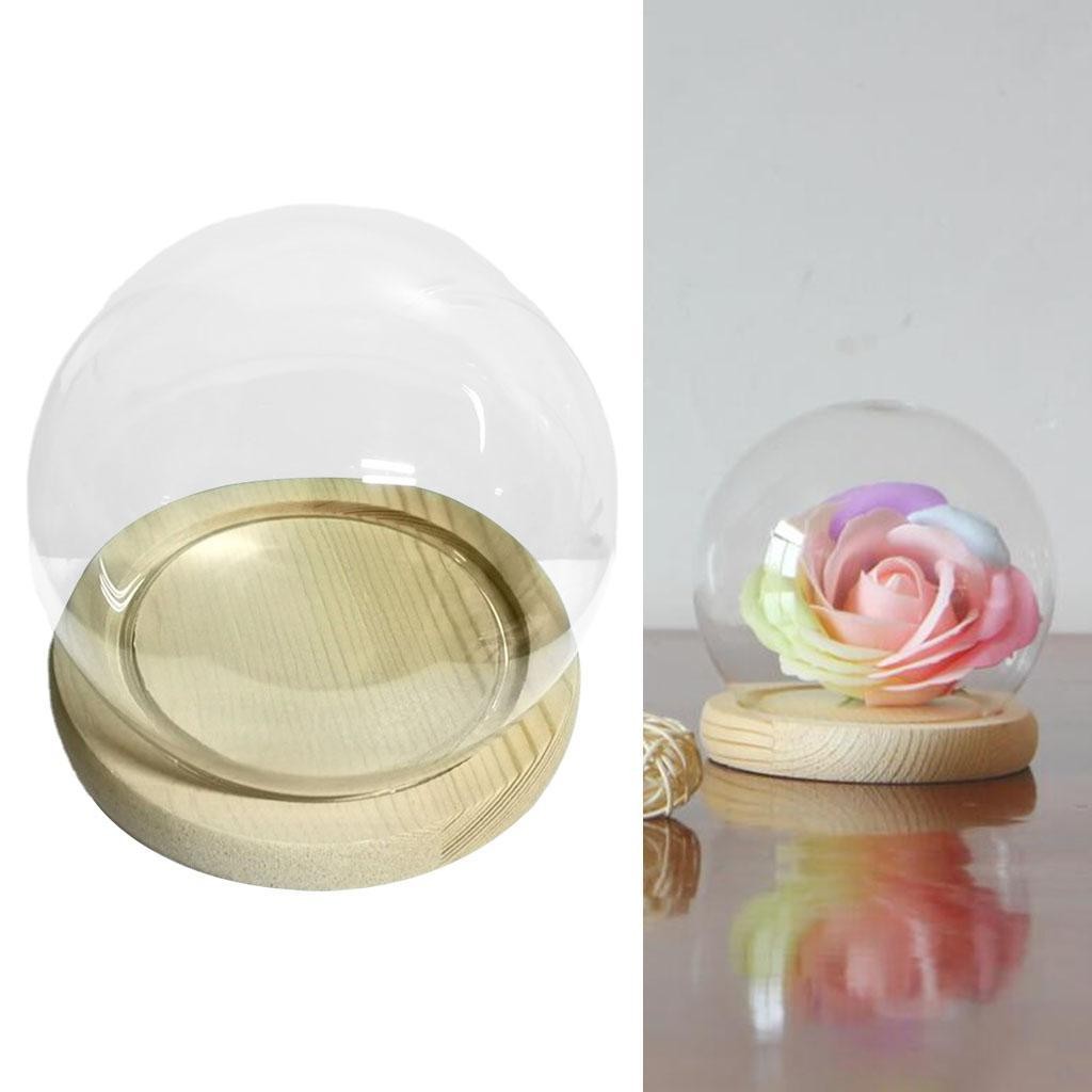 Round Glass Dome Cloche Terrarium Display Case with Wood Base DIY Decoration