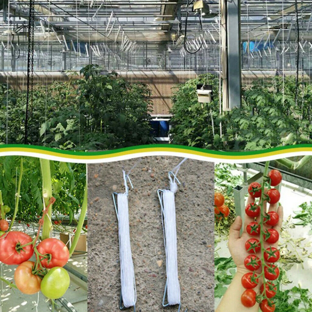 20/100pcs Tomato Support Hooks Set Plant Climbing J Hook with 33ft Twine