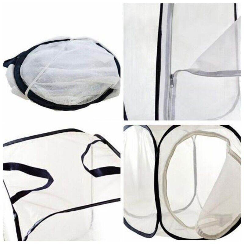 Mantis Stick Small Insect Butterfly Housing Enclosure Net Plant Breeding Cage