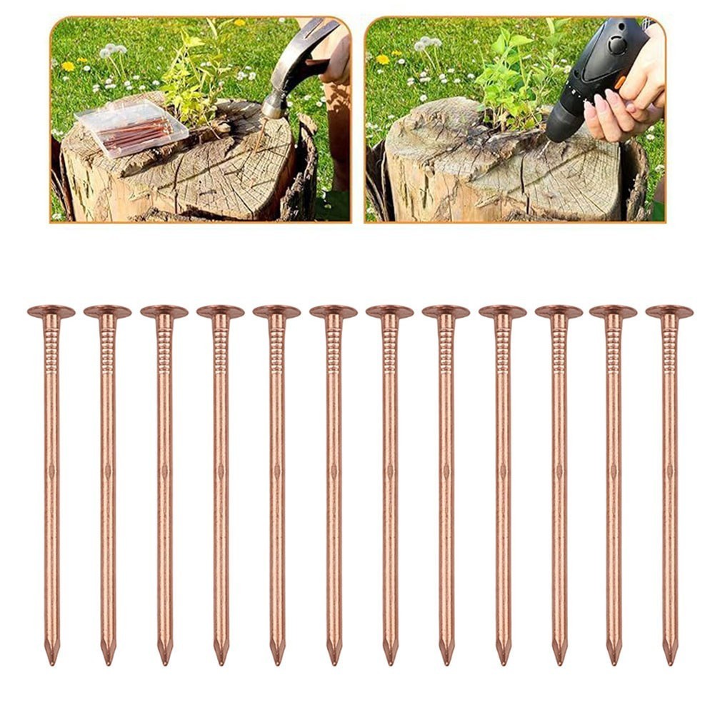 Copper Nails for Tree Stump Root For Killing 4 Inch Solid Copper Spikes