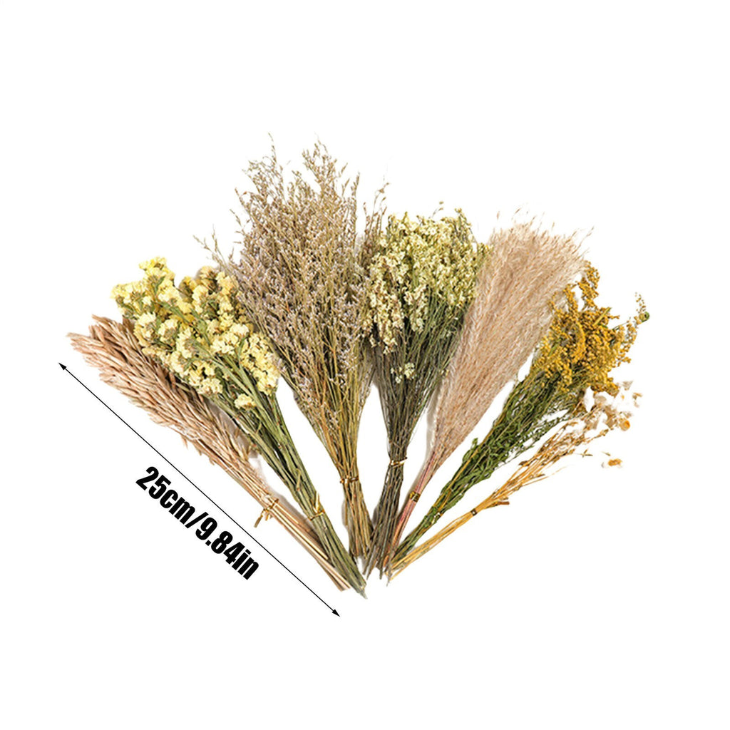 Natural Hamster Bedding Edible Flowers Herbs Sprays for Edible Grain NEW