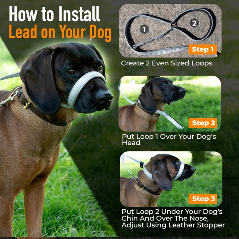 Pet Swivel Flat Figure of 8 Lead  Anti Pulling Dog Lead Leash - 200cm UK