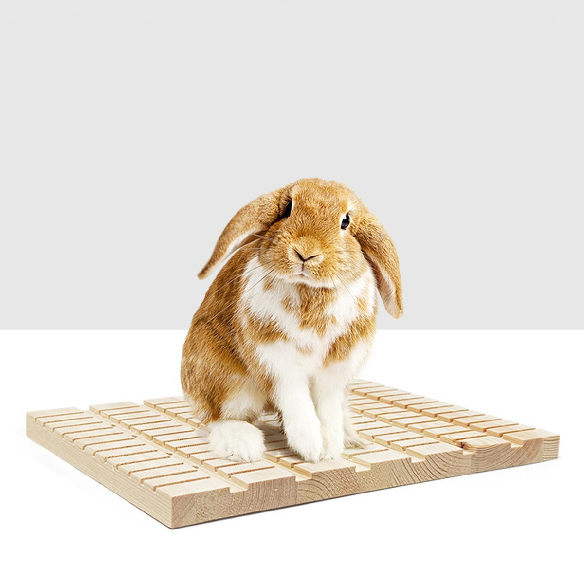 Rabbit Scratch Pad Claws Care Anti Skid Nail Tool Playing Scratch Cage Supplies