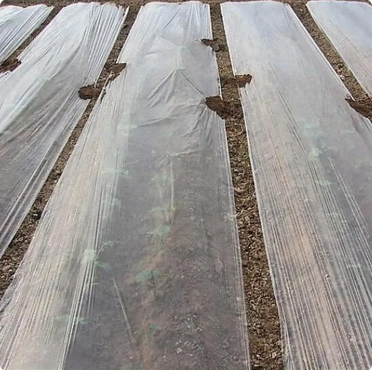 Heavy Duty Thick Clear Film Poly Tunnel Plastic Sheet Garden Greenhouse Cover UK